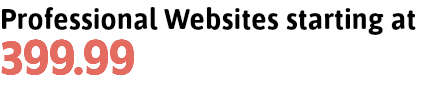 Professional Websites starting at 399.99